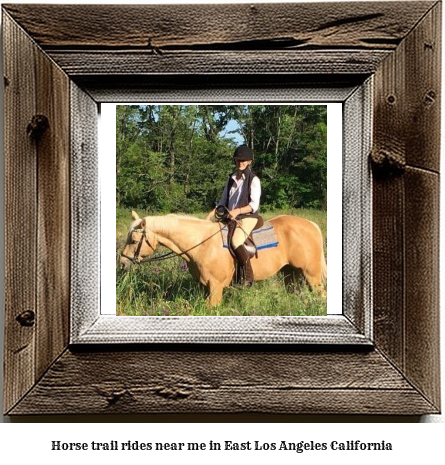 horse trail rides near me in East Los Angeles, California